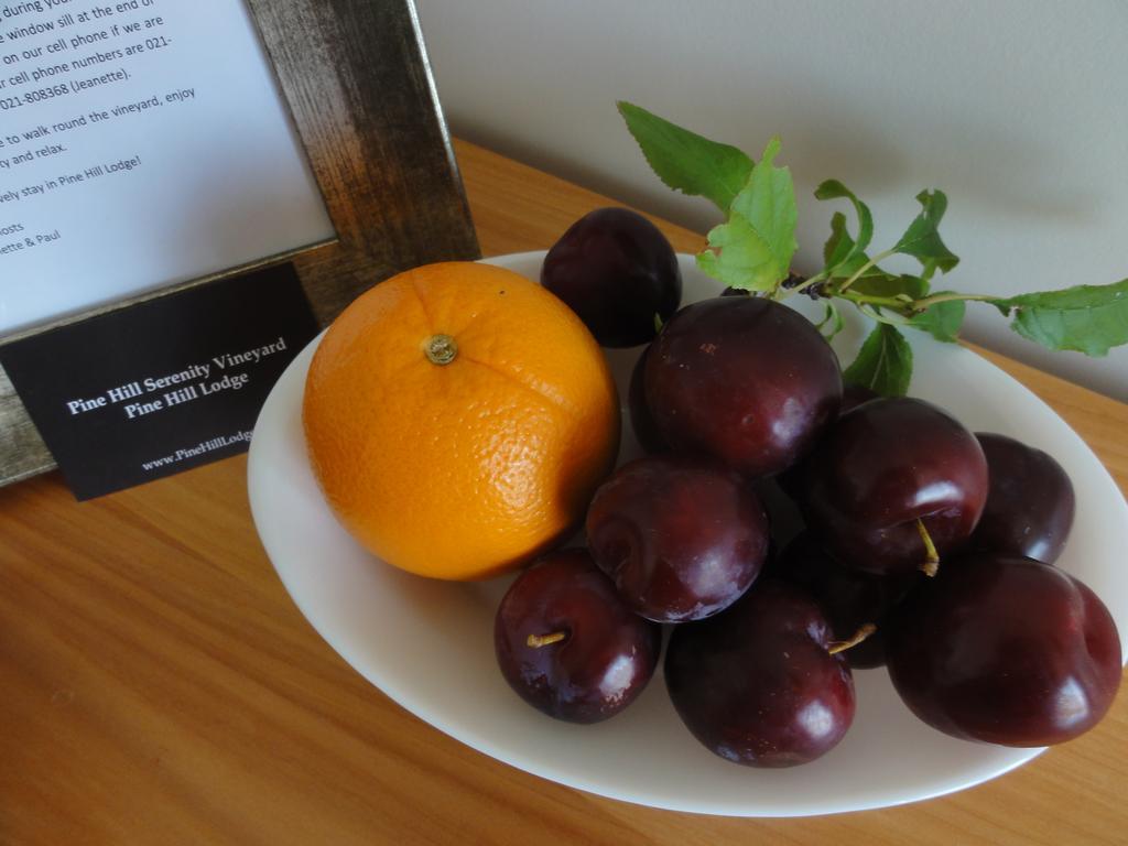 Mapua Pine Hill Lodge In Vineyard מראה חיצוני תמונה