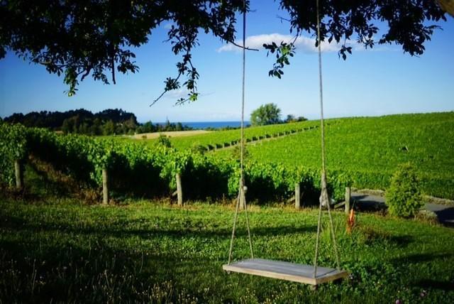 Mapua Pine Hill Lodge In Vineyard מראה חיצוני תמונה