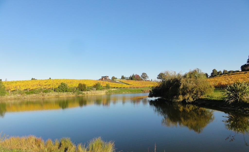 Mapua Pine Hill Lodge In Vineyard מראה חיצוני תמונה