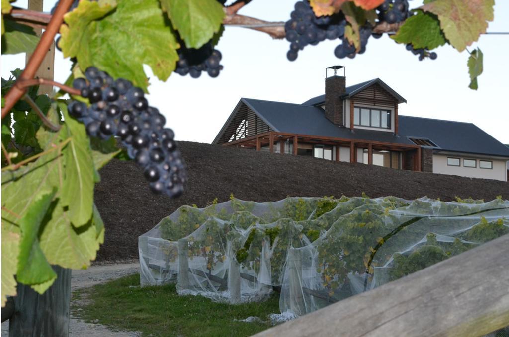 Mapua Pine Hill Lodge In Vineyard מראה חיצוני תמונה