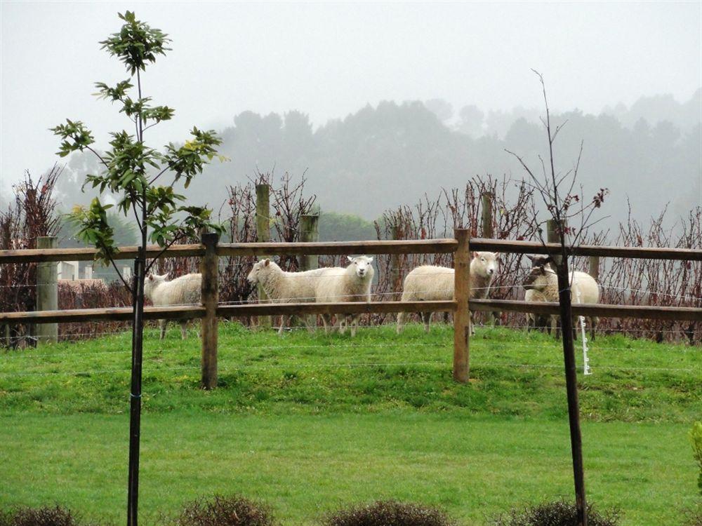 Mapua Pine Hill Lodge In Vineyard מראה חיצוני תמונה