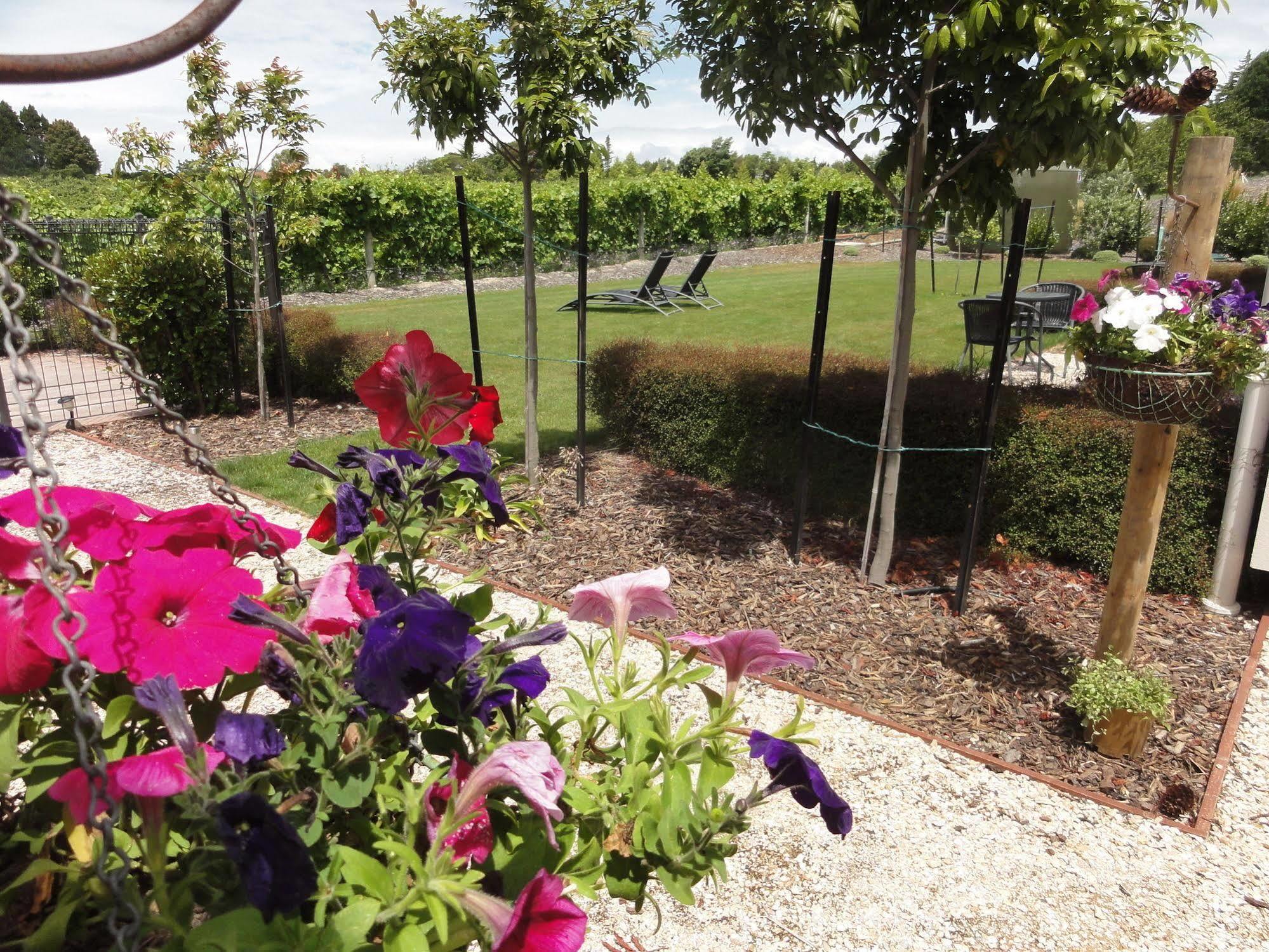 Mapua Pine Hill Lodge In Vineyard מראה חיצוני תמונה