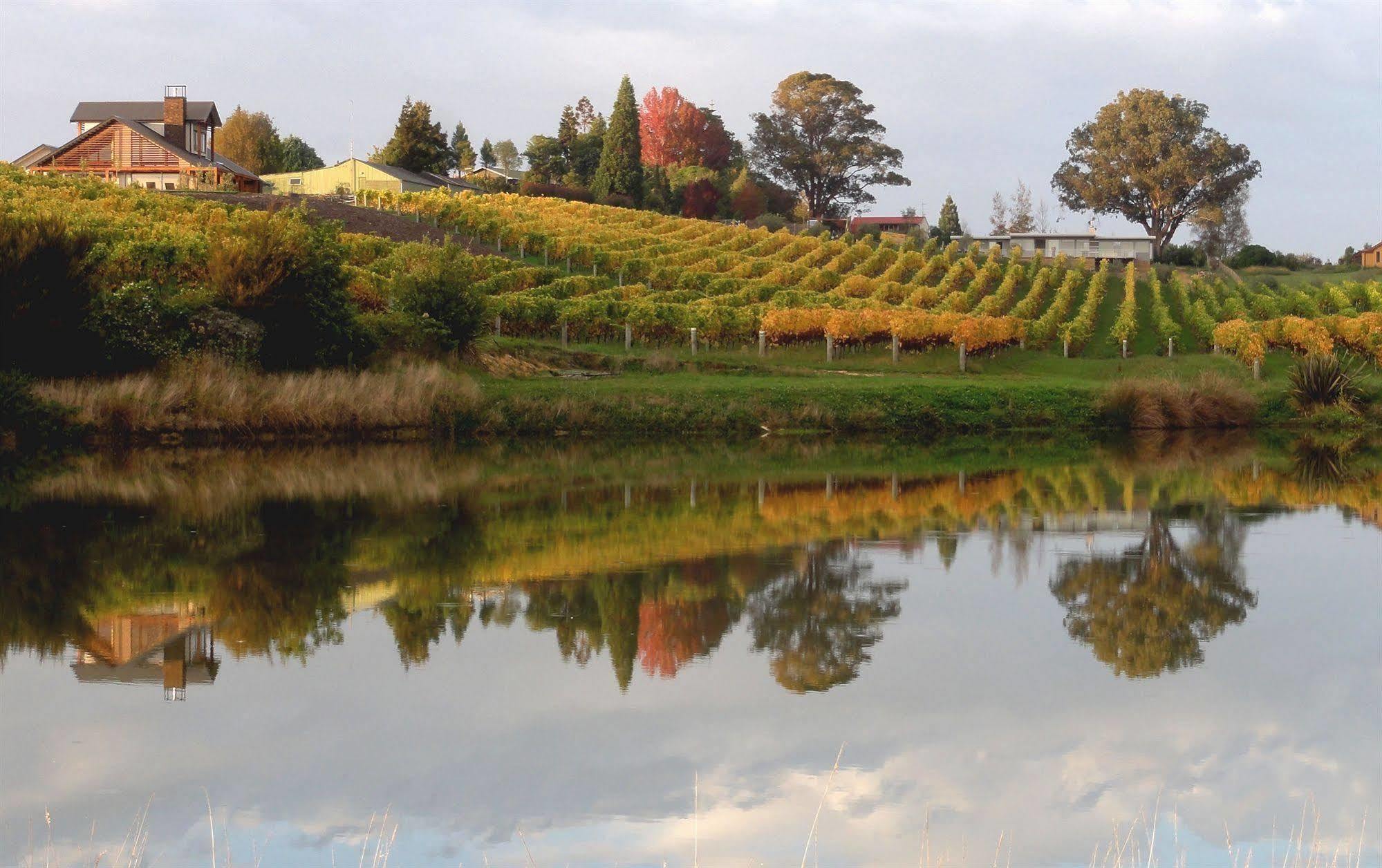 Mapua Pine Hill Lodge In Vineyard מראה חיצוני תמונה